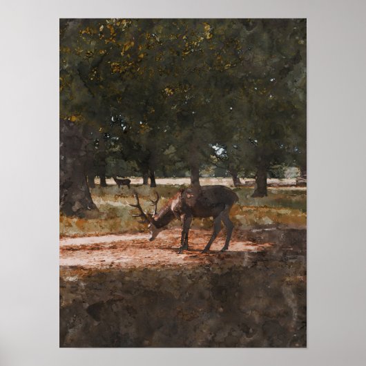 Poster Cerf (Devant)