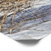 Poster Cerf À La Neige Et À La Brosse (Coin)