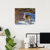 Poster Cerf À La Neige Et À La Brosse (Bureau à domicile)
