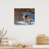 Poster Cerf À La Neige Et À La Brosse (Cuisine)