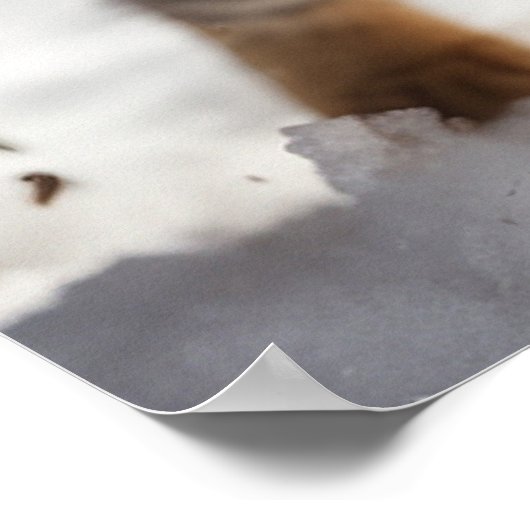 Poster *~* Cerf à neige 5:4 Chat Kitten AP68 (Coin)