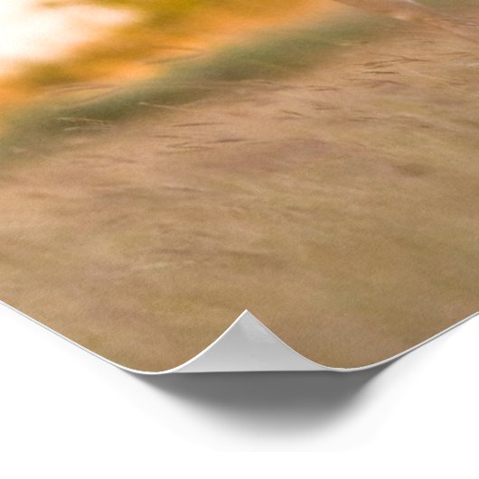 Poster Cerf à queue blanche | Automne au Texas (Coin)