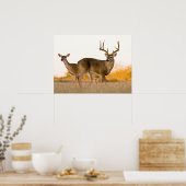 Poster Cerf à queue blanche | Automne au Texas (Cuisine)