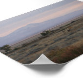 Poster Cerf à queue blanche D10 Sweet Grass Hills (Coin)