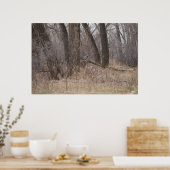 Poster Cerf à queue blanche D1 Buck de printemps dans les (Cuisine)