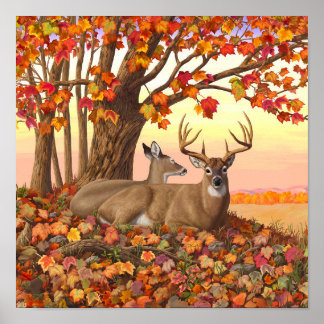 Poster Cerf à queue blanche en automne Couleurs d'automne