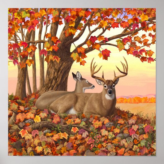 Poster Cerf à queue blanche en automne Couleurs d'automne (Devant)