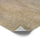 Poster Cerf à queue blanche | Hill Country, Texas (Coin)