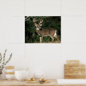 Poster Cerf à queue blanche | Tennessee (Cuisine)