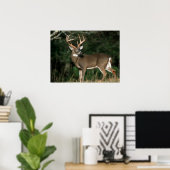 Poster Cerf à queue blanche | Tennessee (Bureau à domicile)