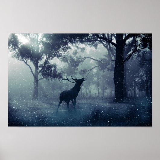 Poster Cerf avec Antlers dans une forêt ombragée (Devant)