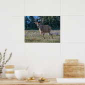 Poster Cerf Blacktail Buck | Parc national Olympique (Cuisine)