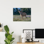Poster Cerf Blacktail Buck | Parc national Olympique (Bureau à domicile)