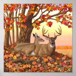 Poster Cerf blanc en automne Nouvelle-Angleterre Couleurs