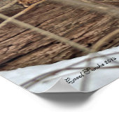 Poster Cerf Blanc En Neige (Coin)