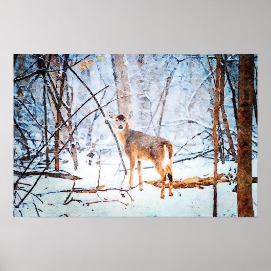 Poster Cerf blanc en peinture d'aquarelle de neige (Devant)