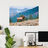 Poster Cerf (Cervus Elephus) mâle bramant (Bureau à domicile)
