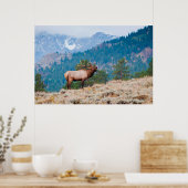 Poster Cerf (Cervus Elephus) mâle bramant (Cuisine)