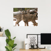 Poster Cerf curieux (Bureau à domicile)