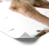 Poster Cerf curieux (Coin)