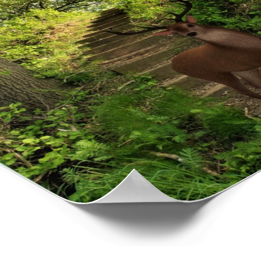 Poster Cerf dans la forêt. (Coin)
