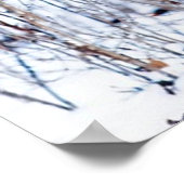 Poster Cerf dans la neige, paysage hivernal (Coin)