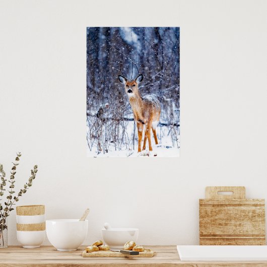 Poster Cerf dans la neige, paysage hivernal (Cuisine)