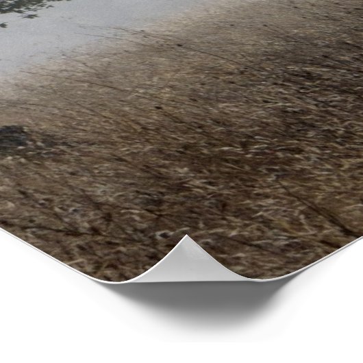 Poster Cerf dans le brouillard (Coin)