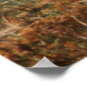 Poster Cerf d'automne (Coin)