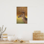 Poster Cerf de Virginie, Odocoileus virginianus, (Cuisine)
