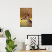 Poster Cerf de Virginie, Odocoileus virginianus, (Bureau à domicile)