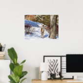 Poster Cerf De Virginie Qui Vous Regarde (Bureau à domicile)