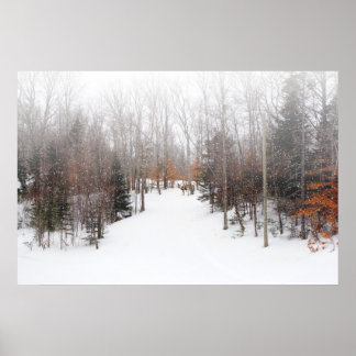 Poster Cerf d'hiver