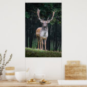 Poster Cerf en jachère (Cuisine)