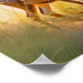 Poster Cerf gracieux dans la conception de la nature fore (Coin)