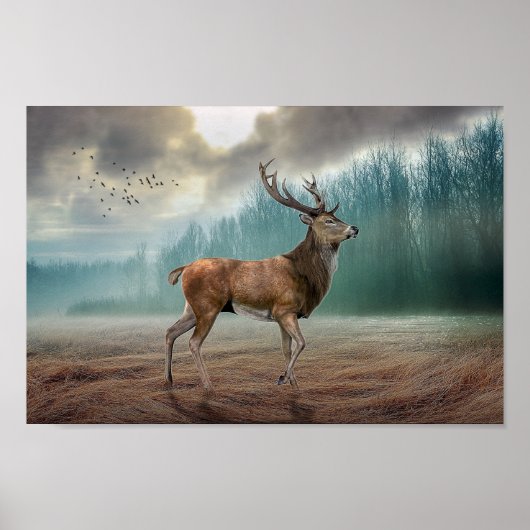 Poster Cerf Lone Dans La Forêt Misty (Devant)