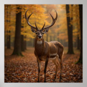 Poster Cerf Majestueux  (Devant)