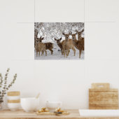Poster Cerf Mule Wyoming (Cuisine)