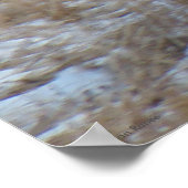 Poster Cerf mulet D28 en train de courir (Coin)