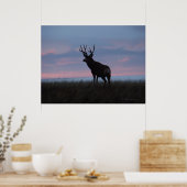 Poster Cerf mulet D3 lever de soleil (Cuisine)