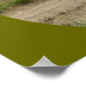 Poster Cerf pronghorn A39 mâle (Coin)