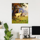 Poster Cerf Rouge Et Blanc Près D'Un Étang De Forêt (Bureau à domicile)