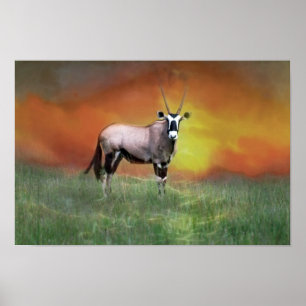 Poster Cerf sauvage au coucher du soleil