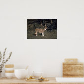 Poster Cerf tacheté (Cuisine)