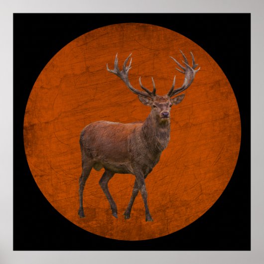 Poster cerf vintage en pleine nature orange (Devant)