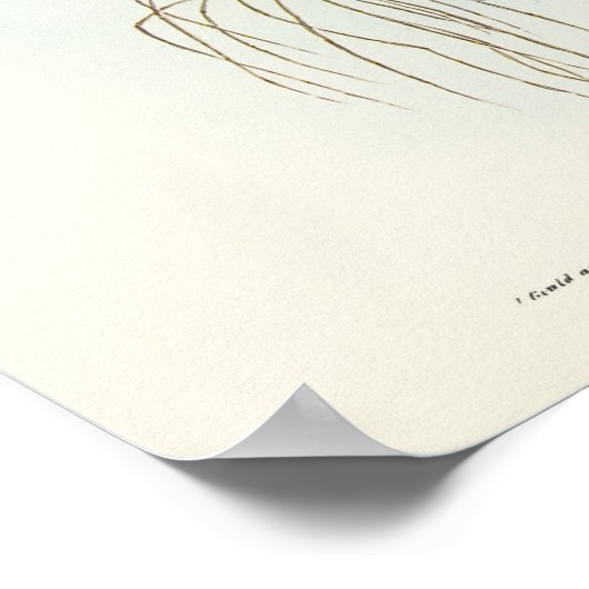 Poster Cerf-volant à épaules noires par Elizabeth Gould (Coin)