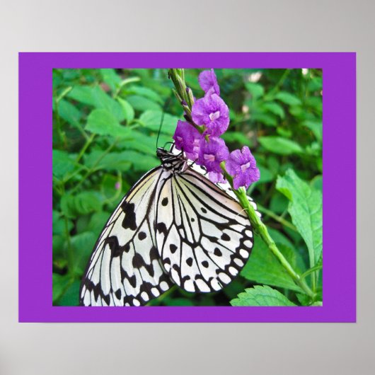 Poster Cerf-volant en papier sur fleurs violettes (Devant)