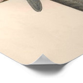 Poster Cerf-volant noir vintage (Coin)