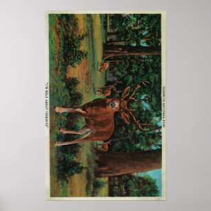 Poster Cerfs communs de mâle au parc national de Yosemite