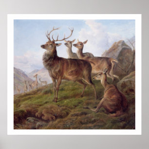 Poster Cerfs communs rouges dans un paysage des